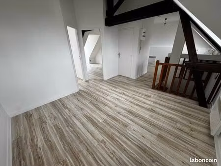 appartement 3 pièces rénové en centre ville