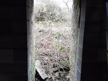 terrain avec vielle ferme