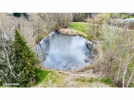 terrain 4763 m² rignovelle