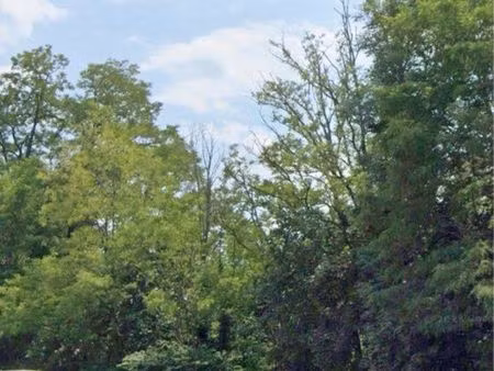 place parking centre ville