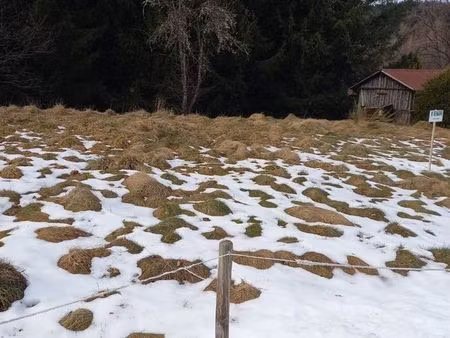 terrain constructible