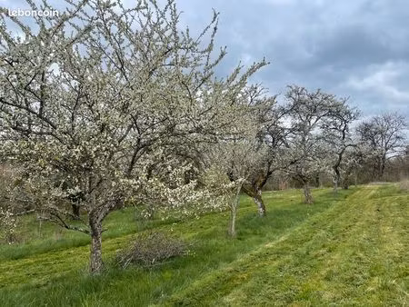 terrain verger 1 hectare