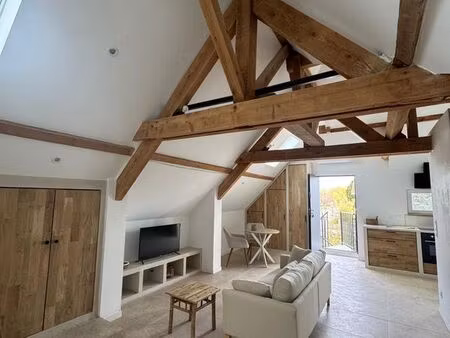 superbe loft meublé neuf 50m²