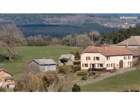 ancienne ferme réaménagée  2 logements avec grand terrain et dépendance
