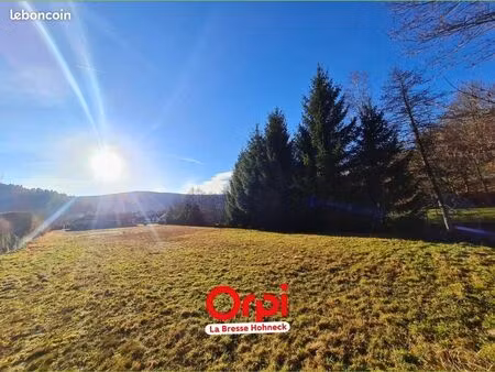 terrain 887 m² xonrupt longemer