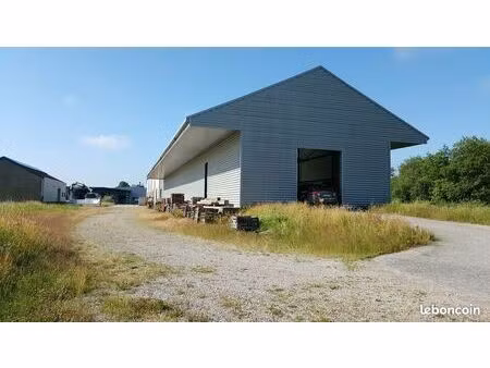 local commercial 725 m²