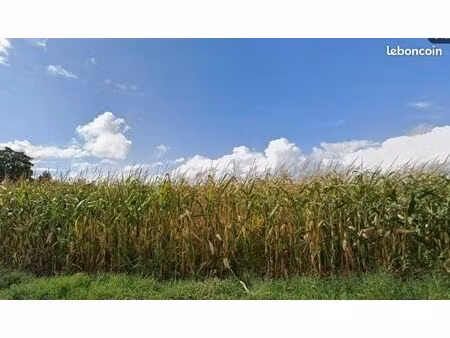 terrain 766 m² avrainville