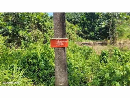 vends terrain constructible et agricole