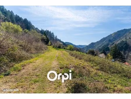 terrain 3 873 m² saint maurice en chalencon