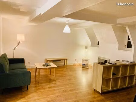 grand 2 pièces centre historique 60m2 meublé