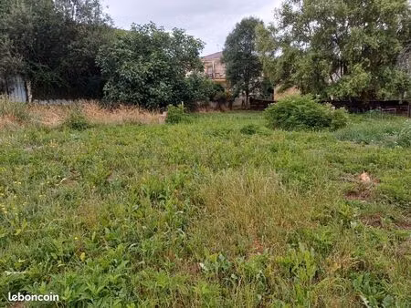 terrain constructible