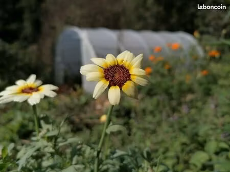 cherche terre agricoles