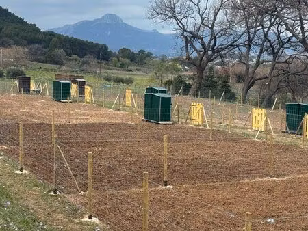 jardins potagers environ 100m2