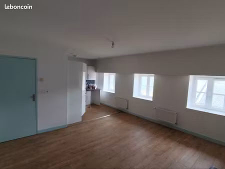 appartement refait à neuf hyper centre