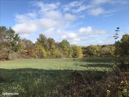 terrain 4 368 m² vailhourles