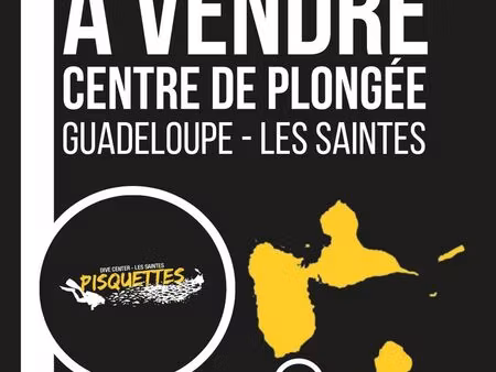 av centre de plongée pisquettes aux saintes - guadeloupe