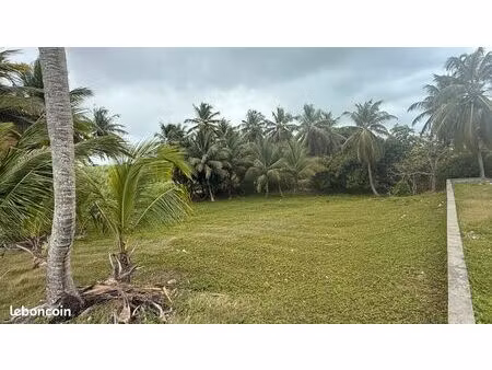 terrain constructible 2037 m² – proche chu – perrin abymes- beau potentiel