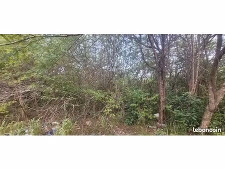 terrain 4936 m² sainte-anne