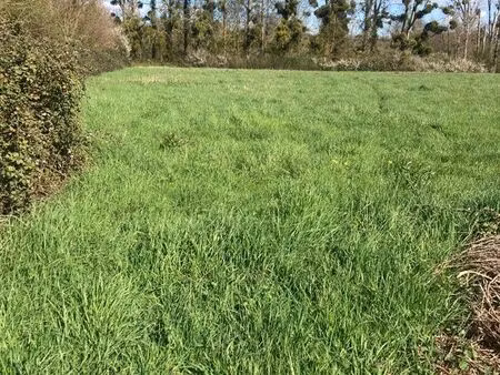 terrain constructible 2000m2 blancafort 18410