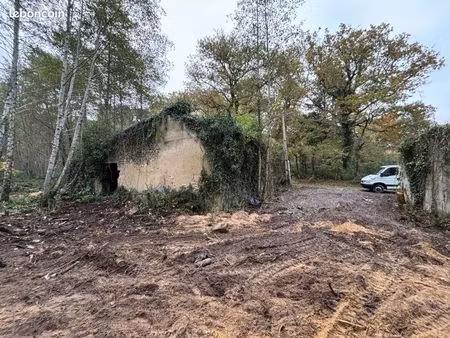 terrain 6000 m2 / bâtisse à reconstruire