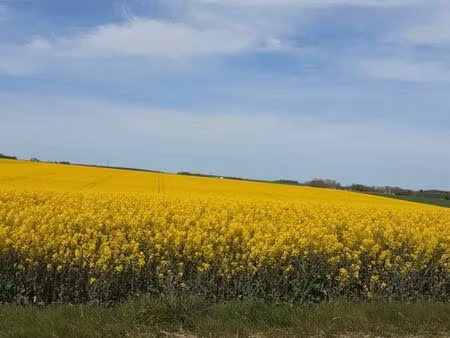 maison ancienne 245 m2