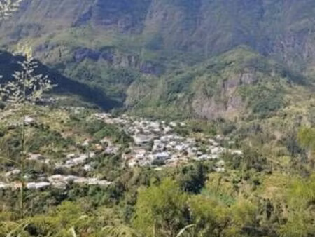terrain cilaos palmiste rouge