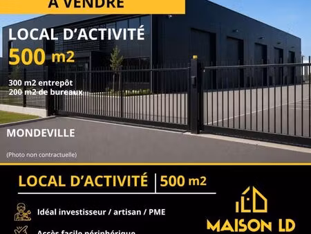 local d'activité 500 m²