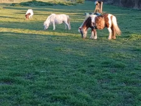 vente terrain 5684 m² à montoire-sur-le-loir (41800)  13 000 €