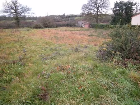 terrain constructible