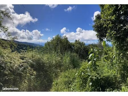 terrain 1102 m² saint-denis