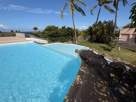 appartement vue mer saint gilles les bains