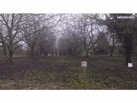 terrain constructible