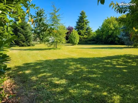 terrain 2 135 m² cours de pile