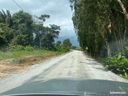 terrain constructible 1ha à la carapa