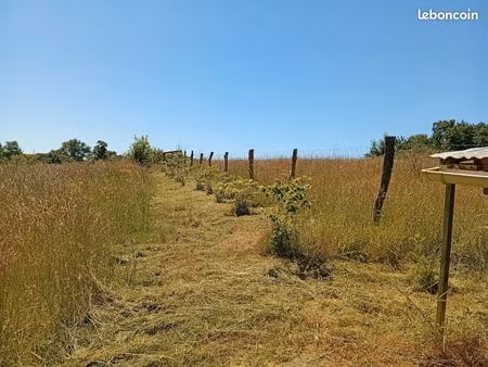 prairie clôturée 5000 m² à disposition – projet agricole / nature (approche écologique) bo