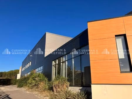 local d'activités à louer