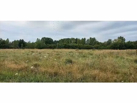 terrain constructible à vendre