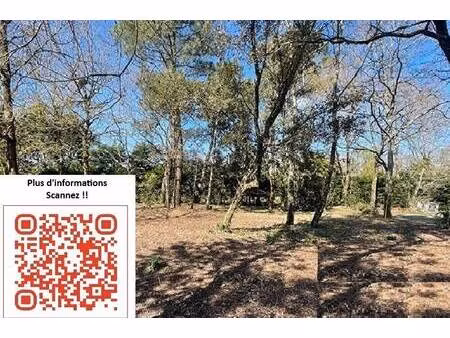 terrain constructible à vendre