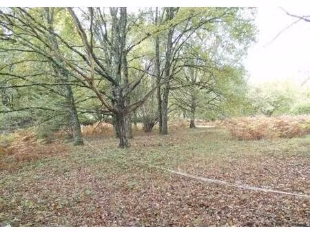 terrain constructible à vendre