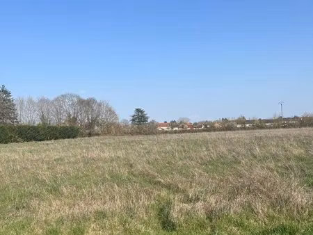 terrain constructible 8000 m2
