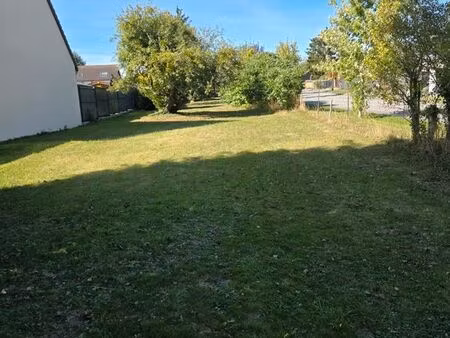 terrain constructible