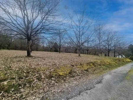 terrain constructible à vendre