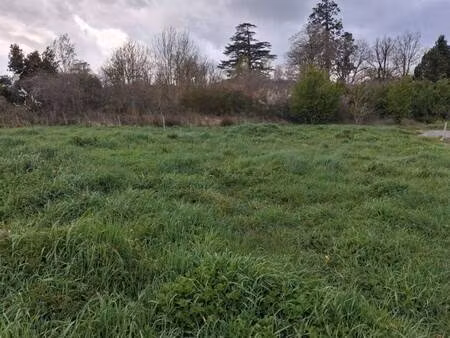 terrain constructible viabilisé à vendre
