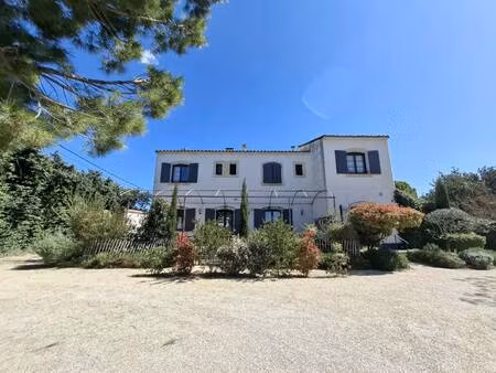 immobiliere des alpilles