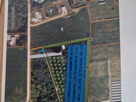 terrain agricole boisé de chêne