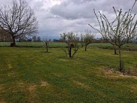 terrain constructible viabilisé à vendre