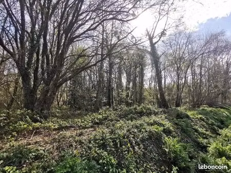 terrain 23203 m² tregonneau