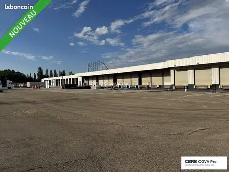 local d'activité 972 m²