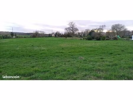 terrain constructible