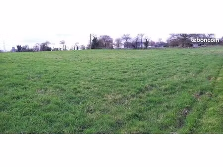 terrain constructible